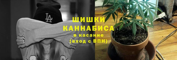 трава Балахна