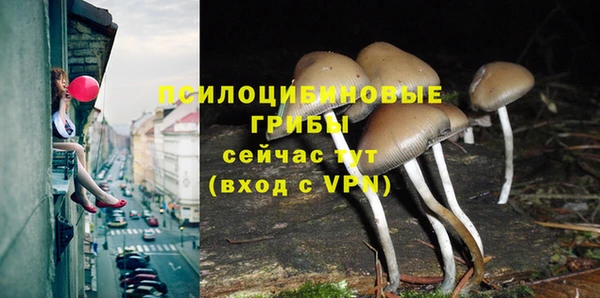трава Балахна